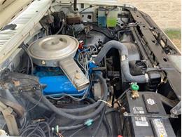 1980 Ford F150 (CC-1864591) for sale in Fredericksburg, Texas