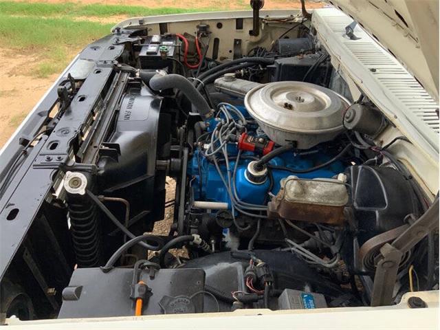 1980 Ford F150 (CC-1864591) for sale in Fredericksburg, Texas
