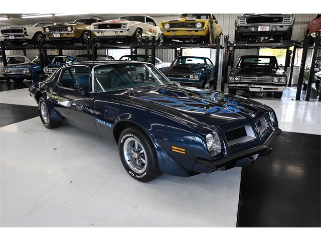 1974 Pontiac Firebird Trans Am (CC-1864674) for sale in north canton, Ohio