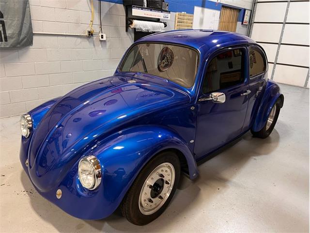 1964 Volkswagen Beetle (CC-1864840) for sale in Greensboro, North Carolina