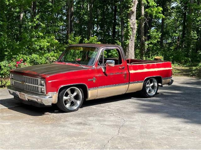 1982 Chevrolet C10 (CC-1864905) for sale in Cadillac, Michigan