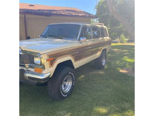 1985 Jeep Grand Wagoneer (CC-1864931) for sale in Cadillac, Michigan