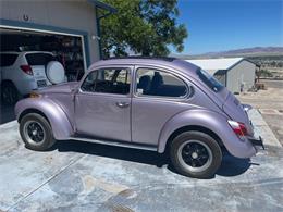 1971 Volkswagen Super Beetle (CC-1865141) for sale in Reno, Nevada