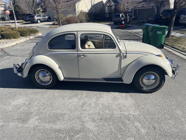 1962 Volkswagen Beetle for Sale | ClassicCars.com | CC-1865230