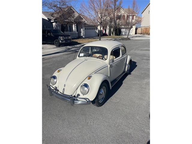 1962 Volkswagen Beetle (CC-1865230) for sale in Reno, Nevada