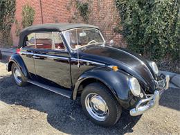 1966 Volkswagen Beetle (CC-1865249) for sale in Reno, Nevada