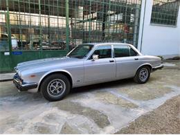 1982 Jaguar XJ6 (CC-1865488) for sale in Pianezza, Torino