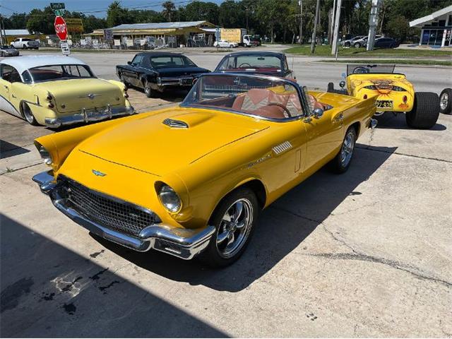 1957 Ford Thunderbird (CC-1865840) for sale in Cadillac, Michigan