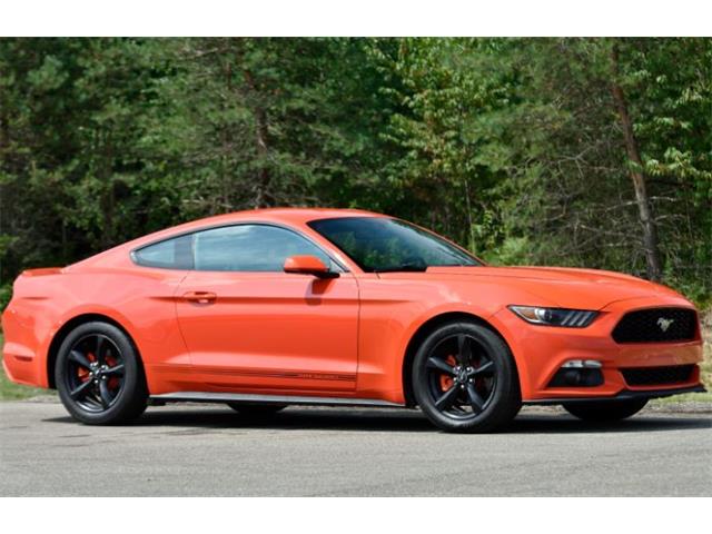 Sitemapcdatahttpsomobeldreferenzcomterrific Mustang Car 2016 Price Pictures