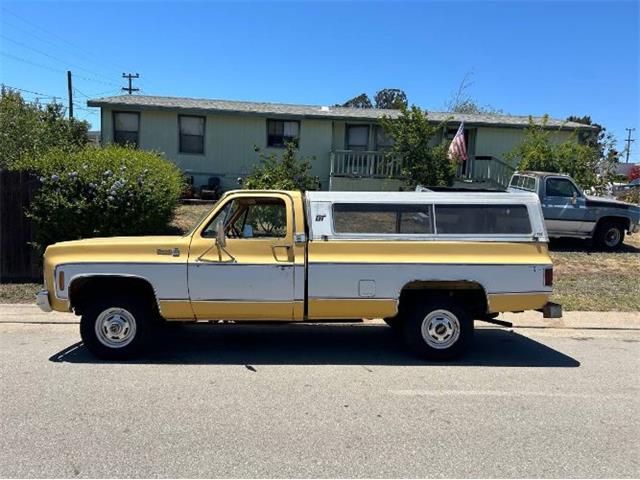 1979 Chevrolet K-10 (CC-1865861) for sale in Cadillac, Michigan