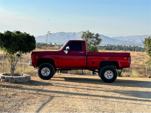 1978 GMC Sierra (CC-1865879) for sale in Cadillac, Michigan