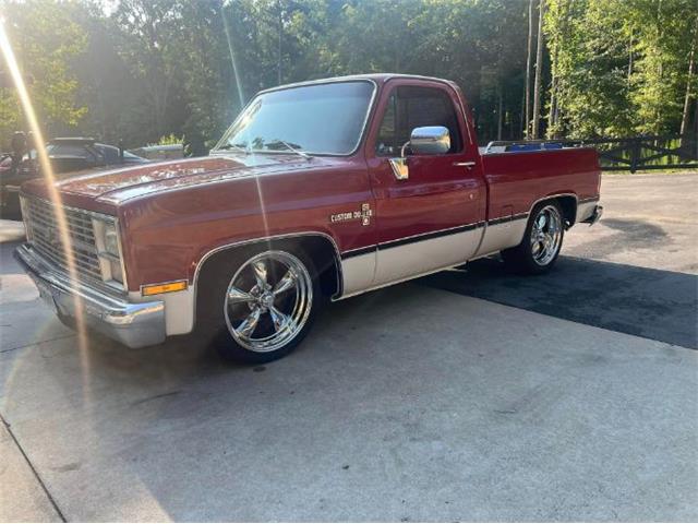 1983 Chevrolet C10 (CC-1866222) for sale in Cadillac, Michigan