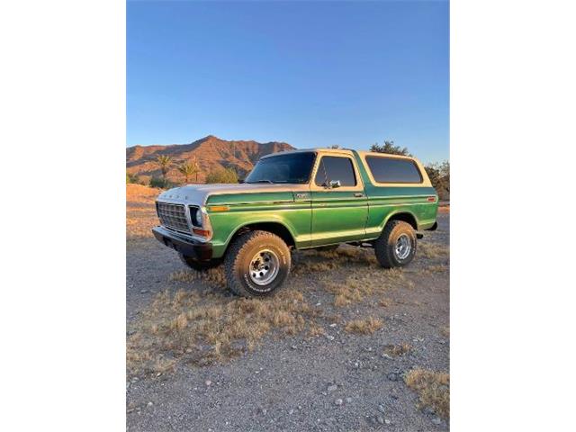 1978 Ford Bronco (CC-1866247) for sale in Cadillac, Michigan