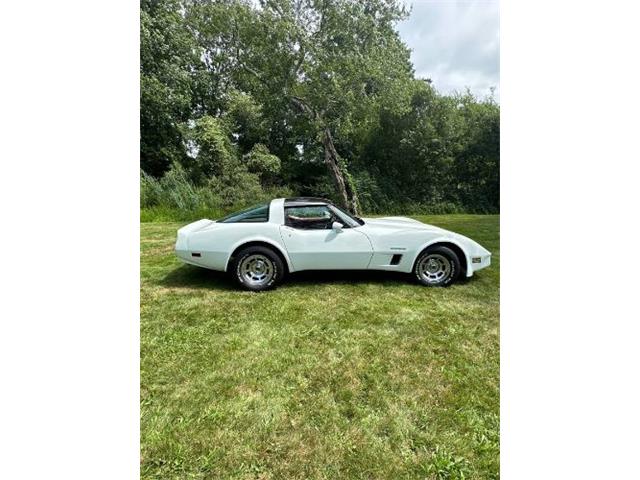 1982 Chevrolet Corvette (CC-1866277) for sale in Cadillac, Michigan