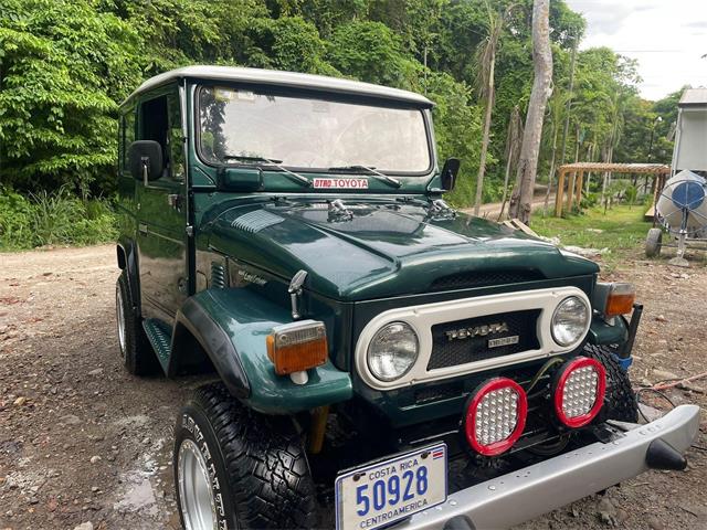 1974 Toyota Land Cruiser BJ40 (CC-1866552) for sale in San Jose, Carmen