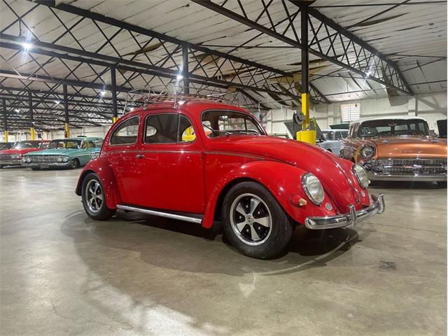 1957 Volkswagen Beetle (CC-1866620) for sale in Greensboro, North Carolina