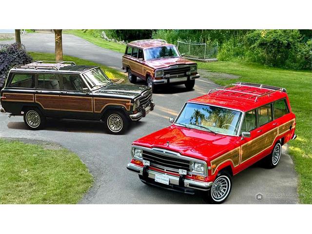 1989 Jeep Grand Wagoneer (CC-1866802) for sale in Bemus Point, New York