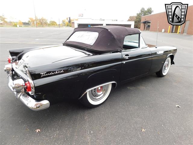 1955 Ford Thunderbird For Sale 