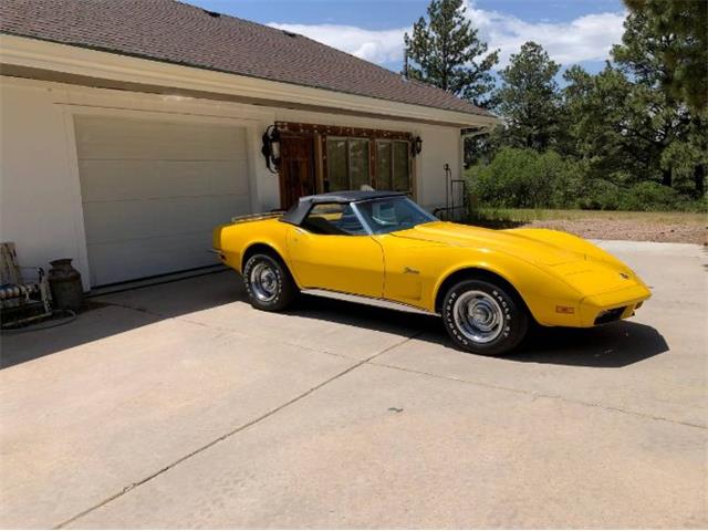 1973 Chevrolet Corvette (CC-1866940) for sale in Cadillac, Michigan