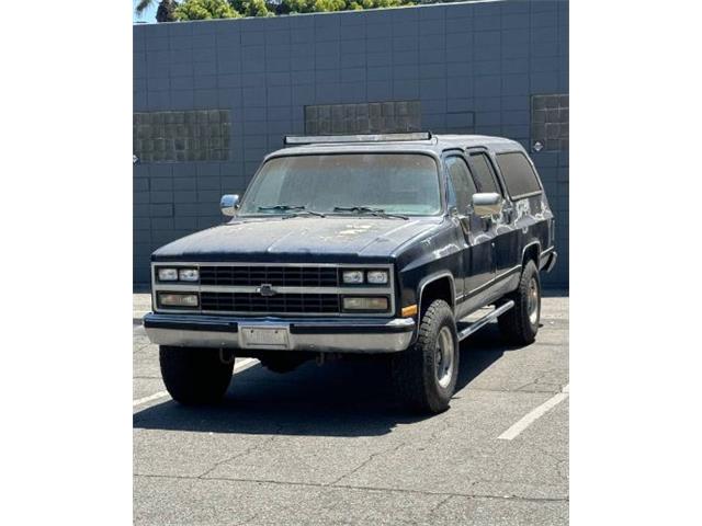 1989 Chevrolet Suburban (CC-1866975) for sale in Cadillac, Michigan