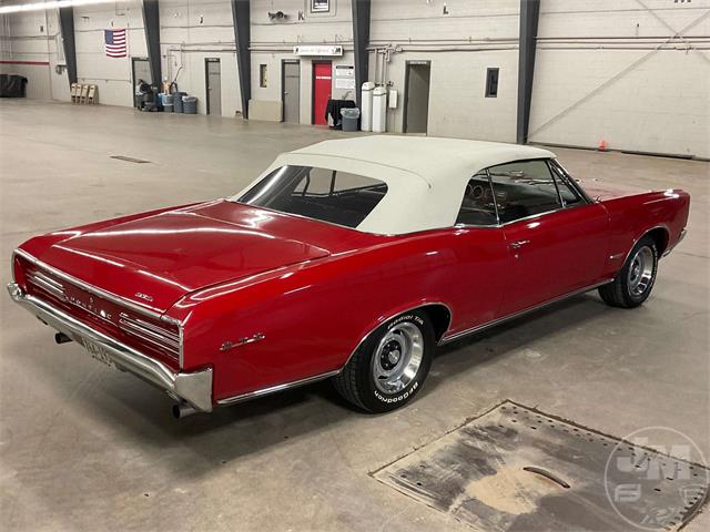 1966 Pontiac GTO (CC-1860707) for sale in Glencoe, Minnesota