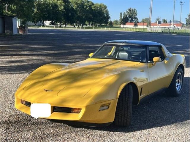 1981 Chevrolet Corvette (CC-1867387) for sale in Cadillac, Michigan