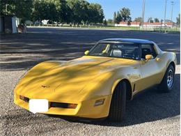 1981 Chevrolet Corvette (CC-1867387) for sale in Cadillac, Michigan