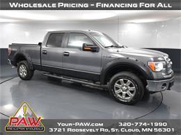 2013 Ford F150 (CC-1867413) for sale in Saint Cloud, Minnesota