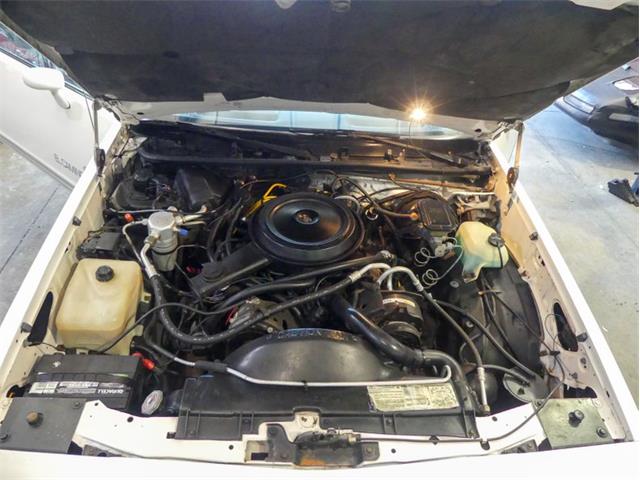 1985 Chevrolet El Camino SS (CC-1867435) for sale in Palmetto, Florida