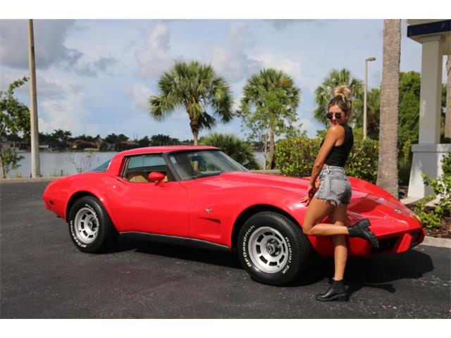 1978 Chevrolet Corvette (CC-1867550) for sale in Fort Myers, Florida