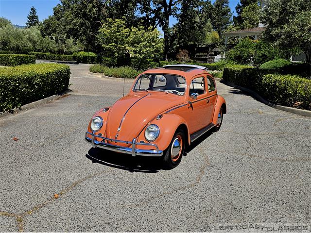 1958 Volkswagen Beetle (CC-1867595) for sale in Sonoma, California