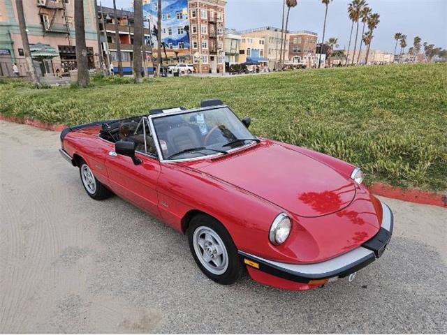 1986 Alfa Romeo Spider (CC-1868044) for sale in Cadillac, Michigan