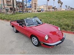 1986 Alfa Romeo Spider (CC-1868044) for sale in Cadillac, Michigan