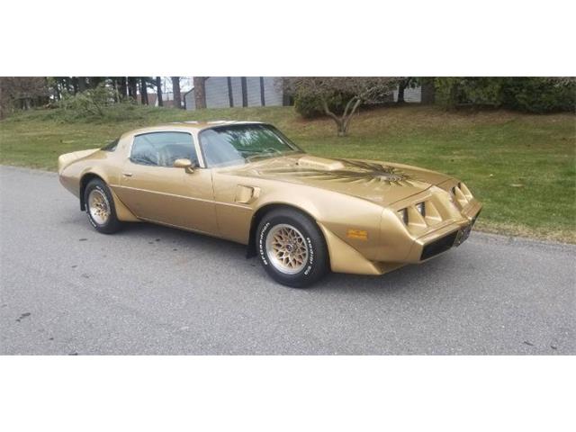 1979 Pontiac Firebird Trans Am (CC-1868053) for sale in Cadillac, Michigan