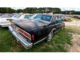 1977 Chevrolet Caprice (CC-1868138) for sale in Gray Court, South Carolina