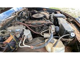 1977 Chevrolet Caprice (CC-1868138) for sale in Gray Court, South Carolina