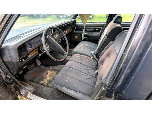 1977 Chevrolet Caprice (CC-1868138) for sale in Gray Court, South Carolina