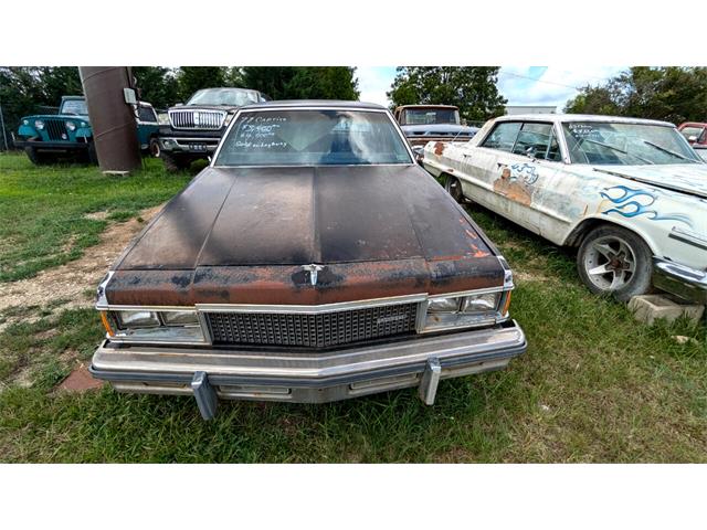1977 Chevrolet Caprice (CC-1868138) for sale in Gray Court, South Carolina