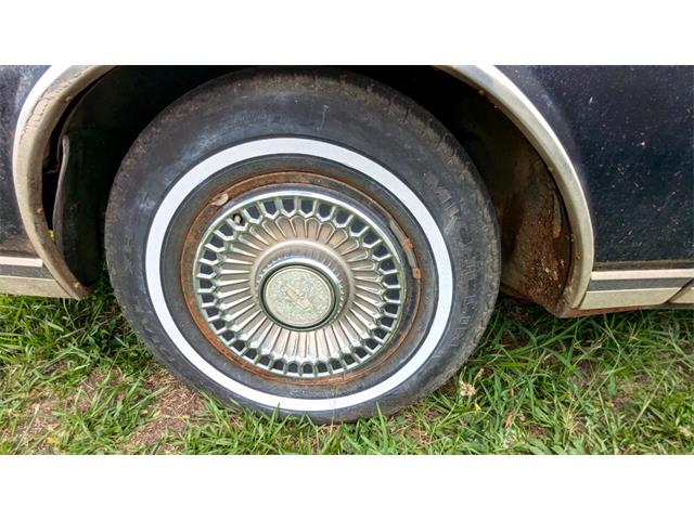 1977 Chevrolet Caprice (CC-1868138) for sale in Gray Court, South Carolina