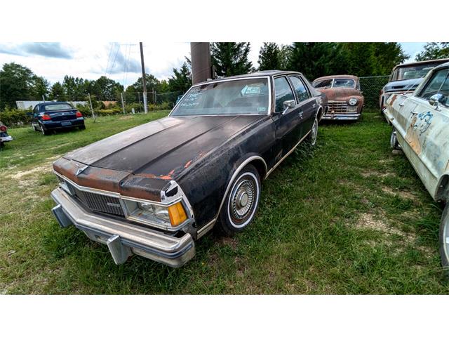 1977 Chevrolet Caprice (CC-1868138) for sale in Gray Court, South Carolina