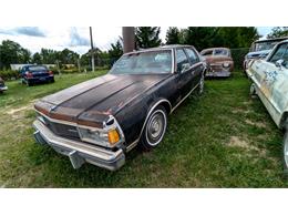 1977 Chevrolet Caprice (CC-1868138) for sale in Gray Court, South Carolina