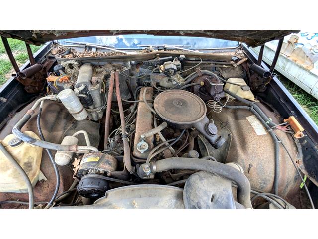 1977 Chevrolet Caprice (CC-1868138) for sale in Gray Court, South Carolina
