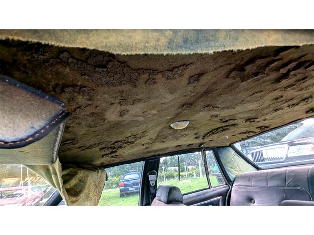 1977 Chevrolet Caprice (CC-1868138) for sale in Gray Court, South Carolina