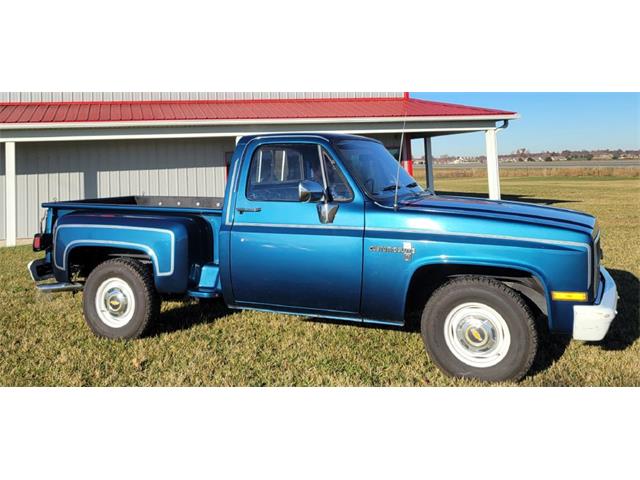 1981 Chevrolet C10 (CC-1868197) for sale in Celina, Ohio