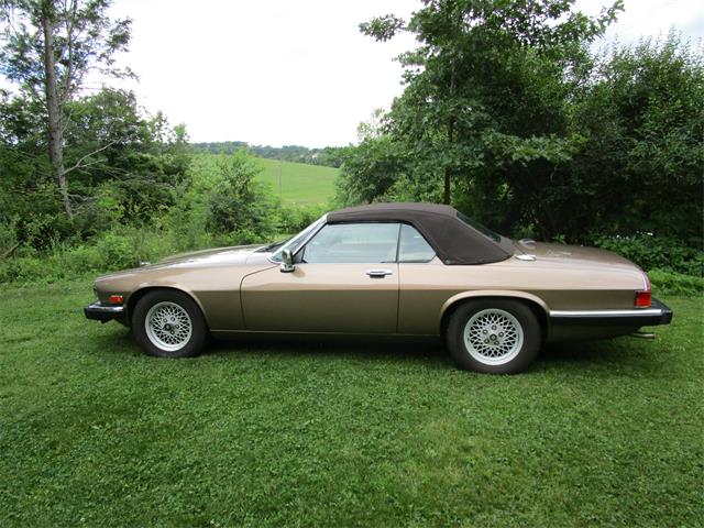 1990 Jaguar XJS (CC-1868277) for sale in Fairfield , Virginia