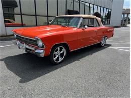 1966 Chevrolet Nova (CC-1868366) for sale in Greensboro, North Carolina