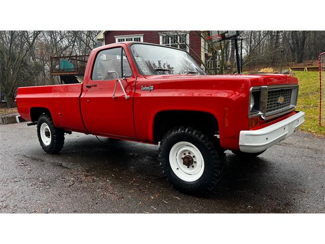 1974 Chevrolet C20 (CC-1868482) for sale in Annandale, Minnesota