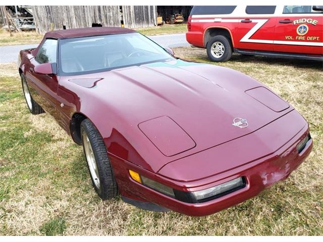 1993 Chevrolet Corvette (CC-1868503) for sale in Lake Hiawatha, New Jersey