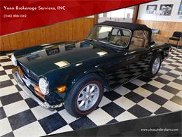 1974 Triumph TR6 (CC-1868628) for sale in Farmington, Michigan