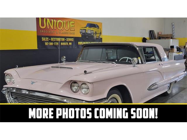 1959 Ford Thunderbird (CC-1869118) for sale in Mankato, Minnesota